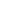Castle Icon