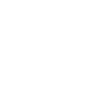 Castle Icon